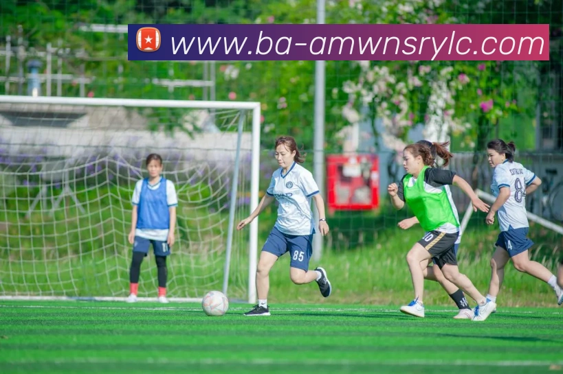 多媒体互动体验