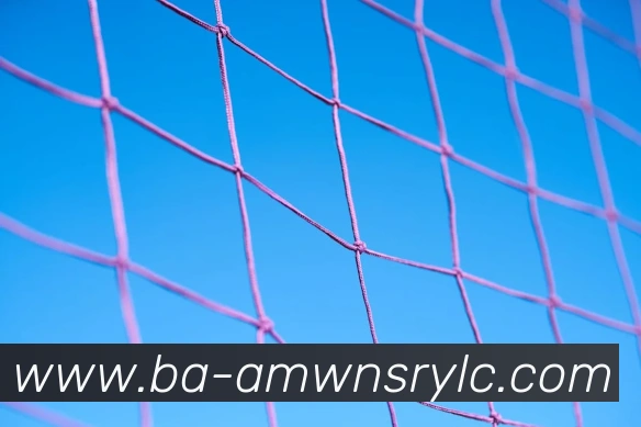 威尼斯人官网APP 高清赛事图